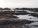 Rocky shoreline