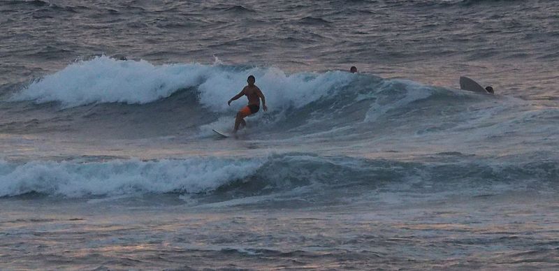 Surfers