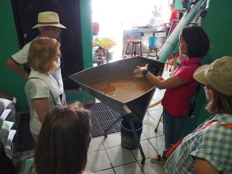 Dried corn is soaking to make tortillas