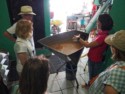 Dried corn is soaking to make tortillas