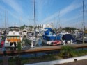 Boats in the marina