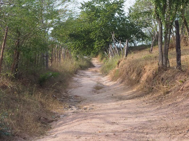 A road next to our restaurant