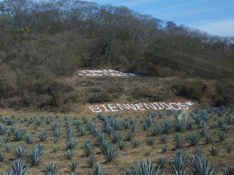 Bienvenidos Vinata Los Osuna tequila distillery