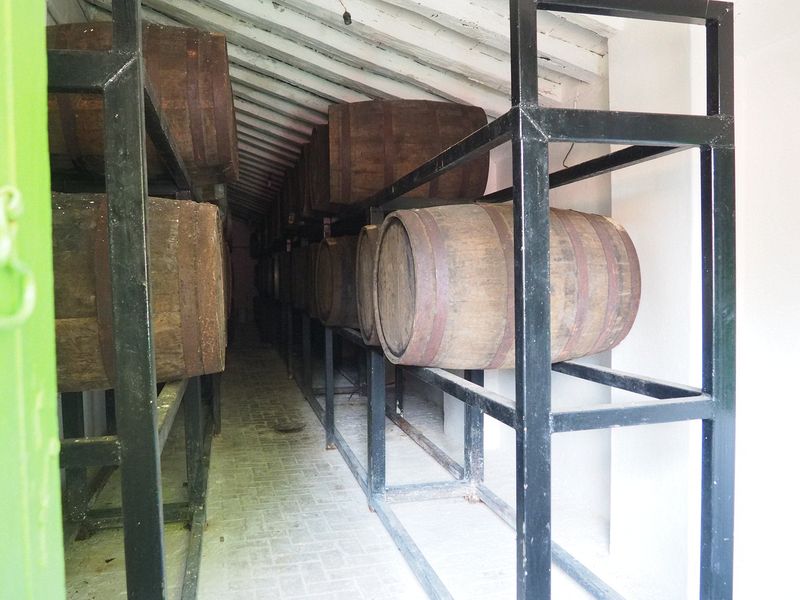 Tequila aging in old, old barrels