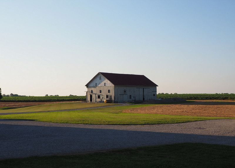 Barn again