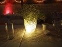 Lighted vase