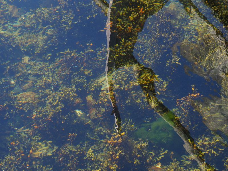 Crystal clear water