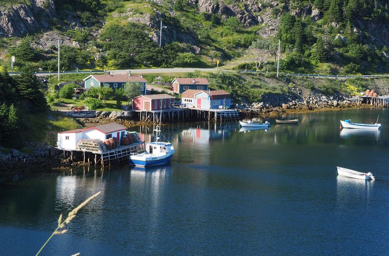 Fishing boats