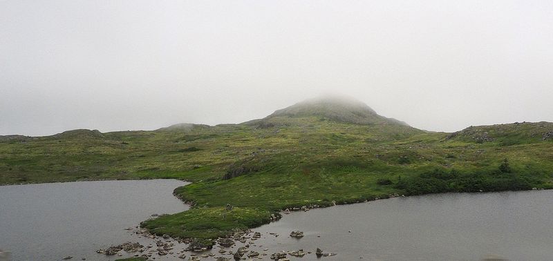 Foggy pond 1