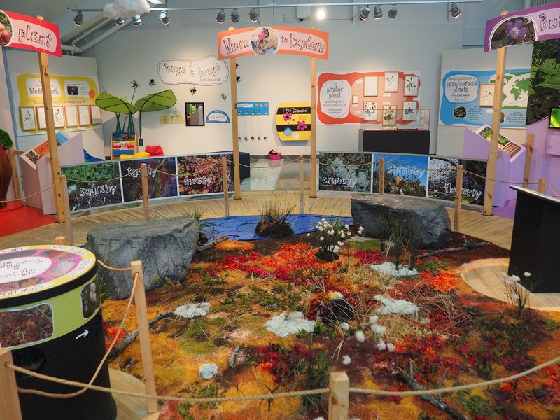 Kids exhibit about carniverous plants in Newfoundland