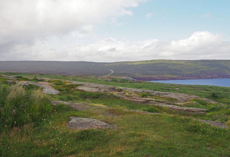 Green and rocky landscape