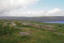 Green and rocky landscape