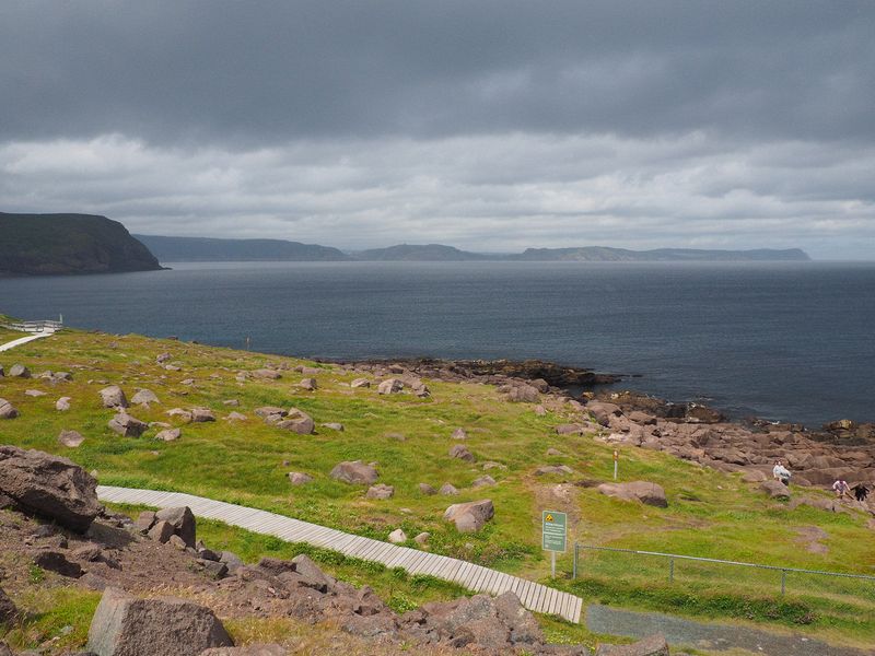 Rocky field