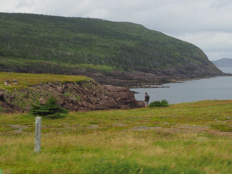 Someone views the rocky coastline