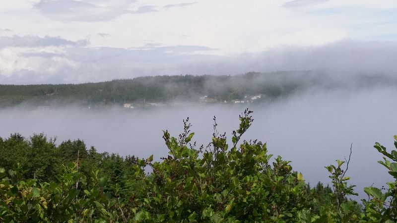 Fog in the valley