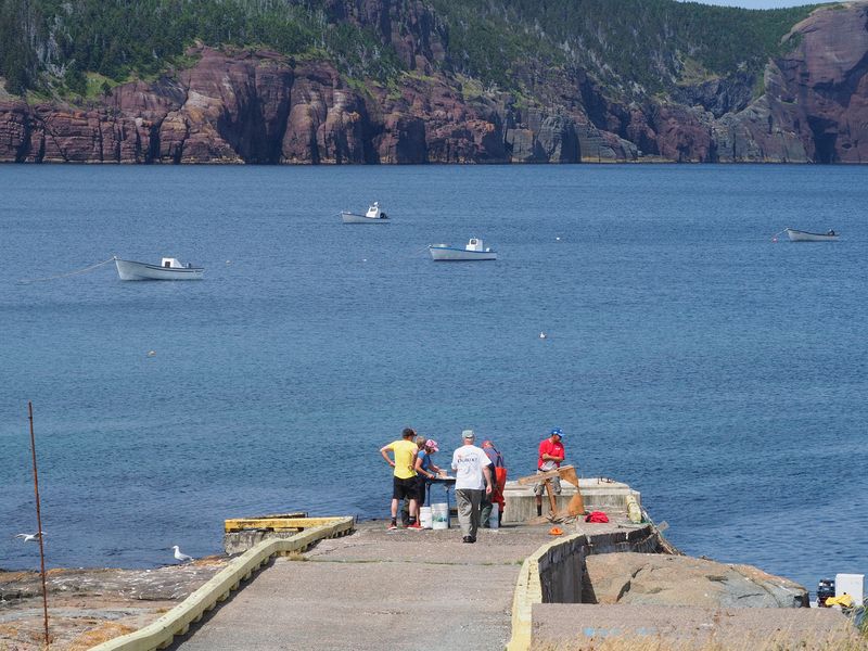 Fishermen cleaning their catch