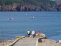 Fishermen cleaning their catch