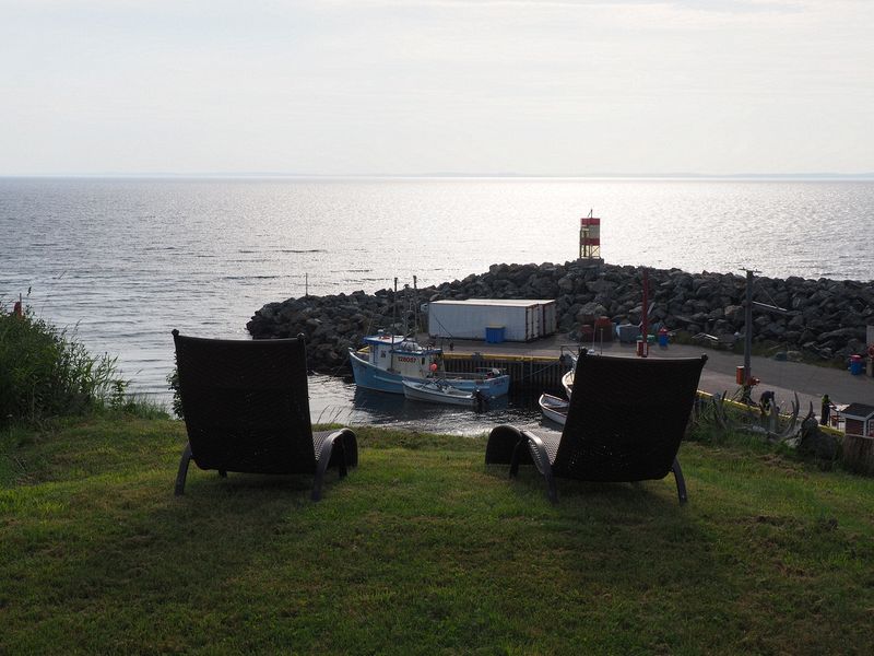 Lounge chairs in Brenda's back yard