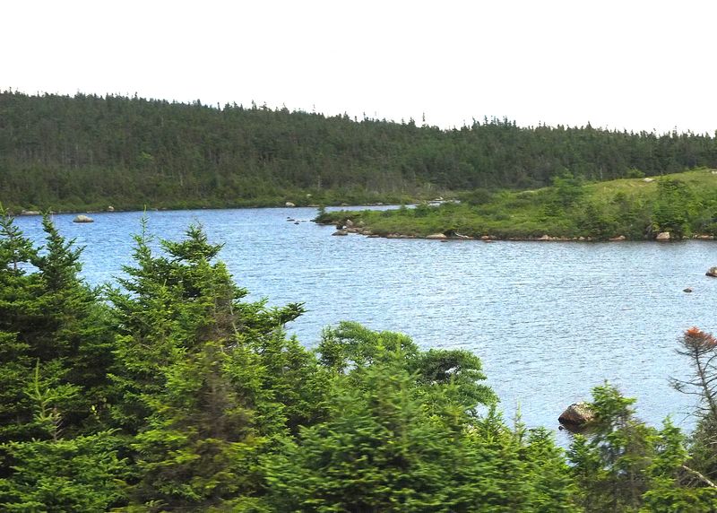 A pond on the way back home