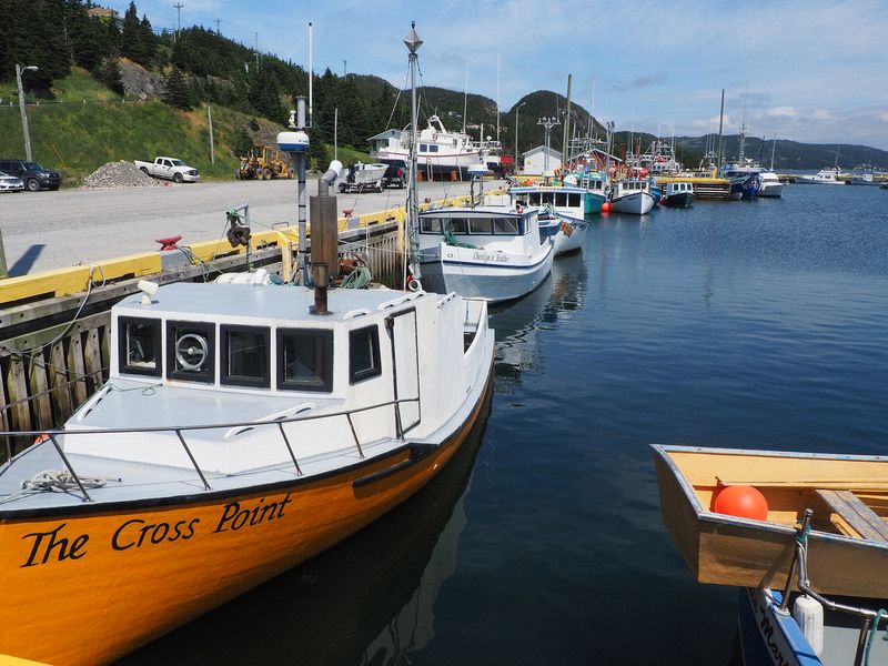 Fishing boats in the harbor