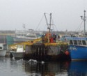 Fishermen clean their catch on a foggy day