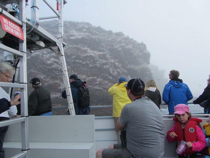 The boat gets close to the island