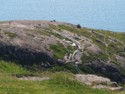 Hiking trail and steps