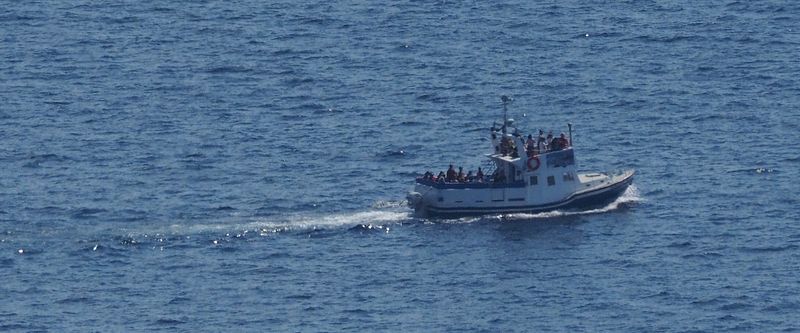 Whale watching boat