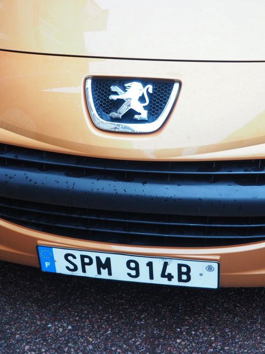 French license plate on a Peugeot