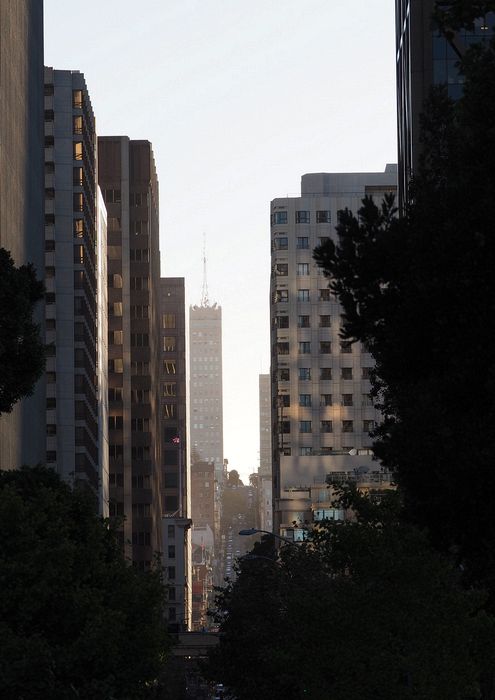 California St between the tall buildings