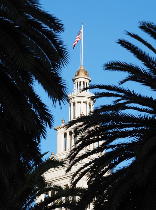 Ferry Building clock tower seen through palm fronds