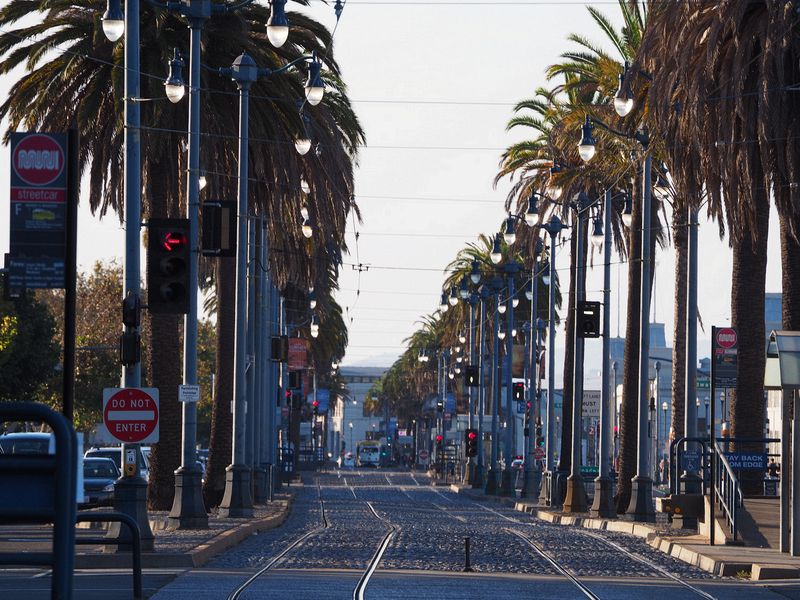 Palm trees line the Muni rail lines