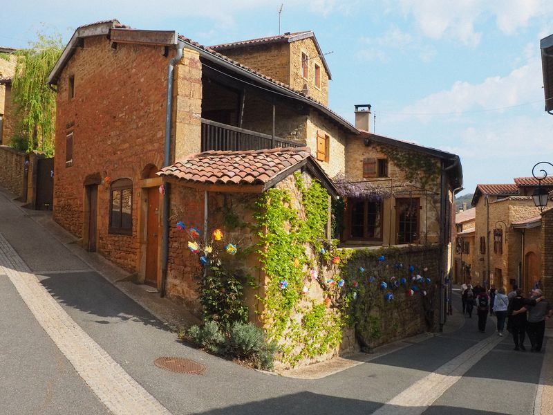 A pretty ivy covered building