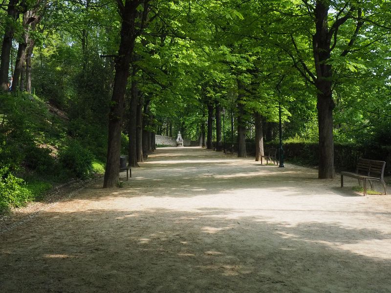 A shady spot as we walk down the hill back to Lyon