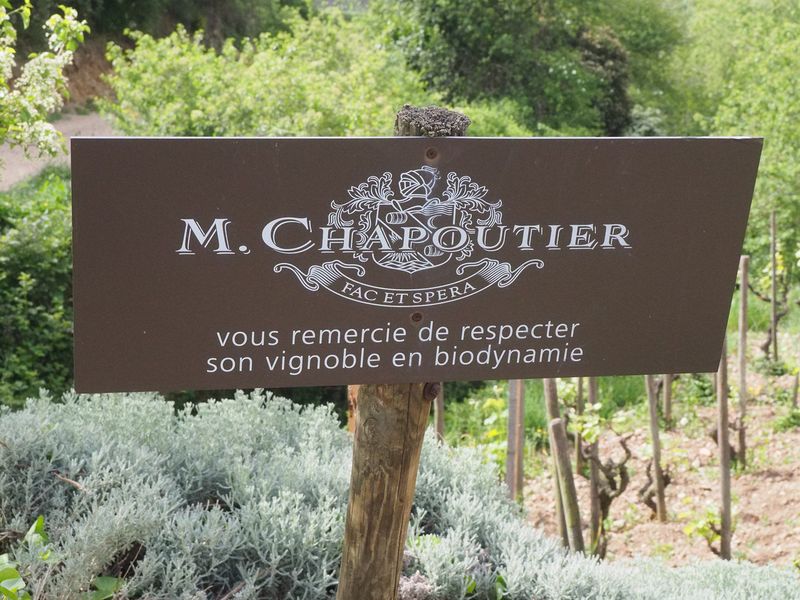 A sign on a Chapoutier vineyard