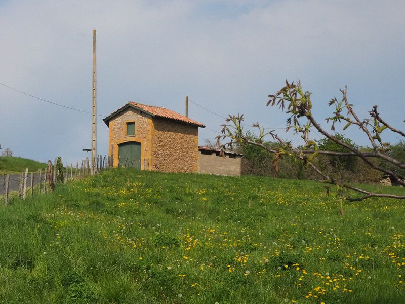 A small barn on a hill