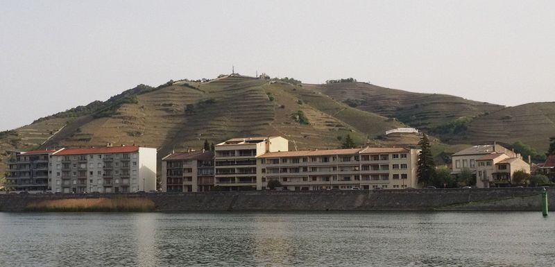 Chapoutier vineyards in the hills above Hermitage