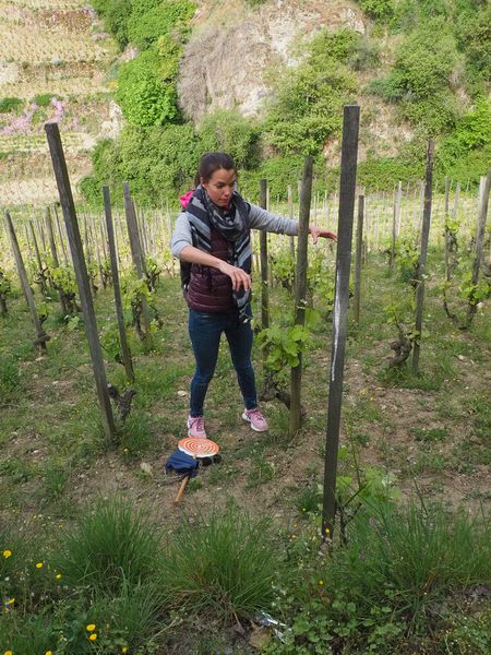 Our guide is the fantastic Nancy Kerschen, a local winemaker