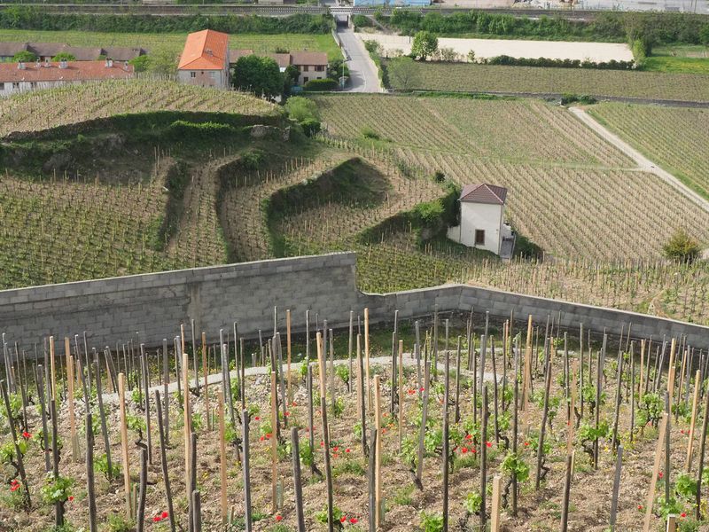 Steep terraces