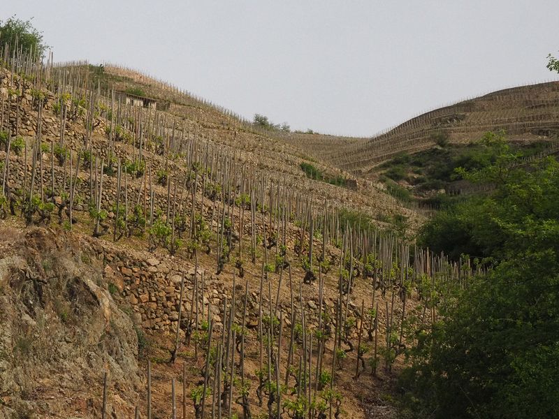 The hillsides are heavily terraced with stone