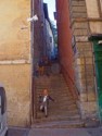 The locals using a long stairway