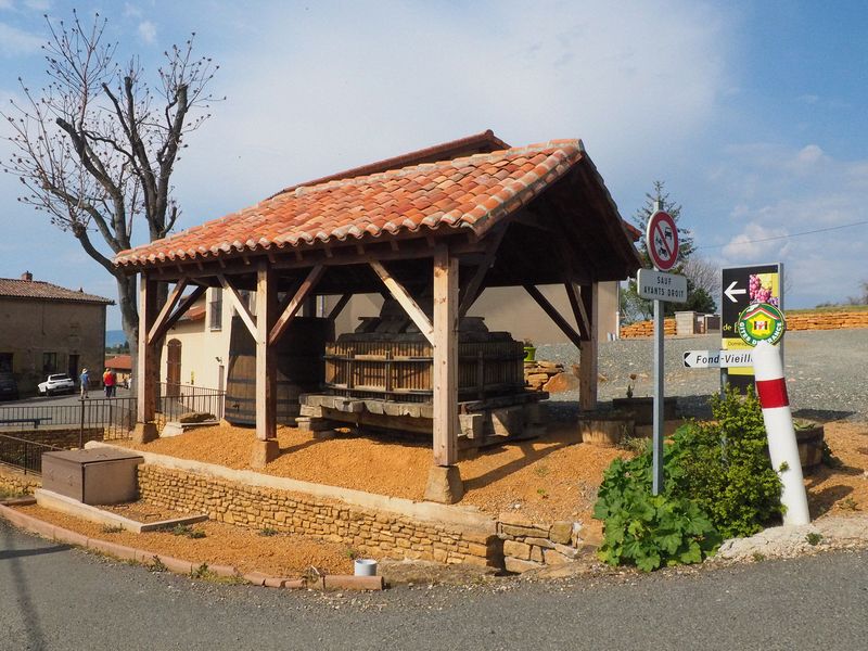 We stop at the Domaine de Fond-Vieille winery