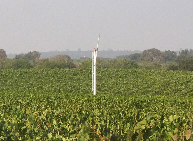 A big fan in the vineyards for frosty nights