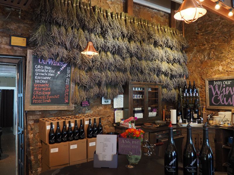 Lavender hangs from the wall at the Lavender Winery