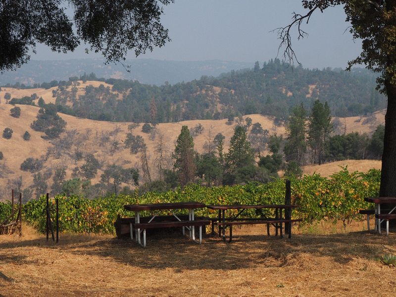 More picnic tables and views