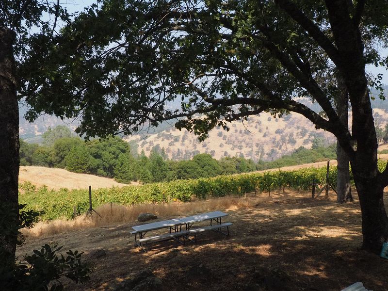 Picnic tables to admire the view