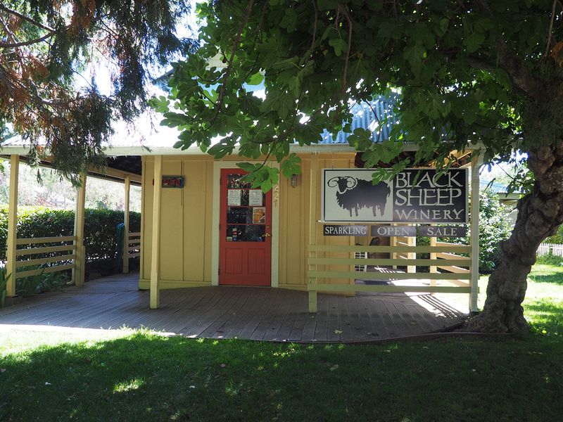 Black Sheep tasting room