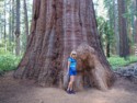 Eloise and a huge burl