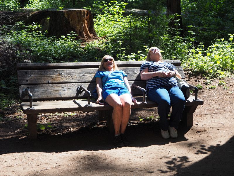 Eloise and Linda recline to look at the tree tops