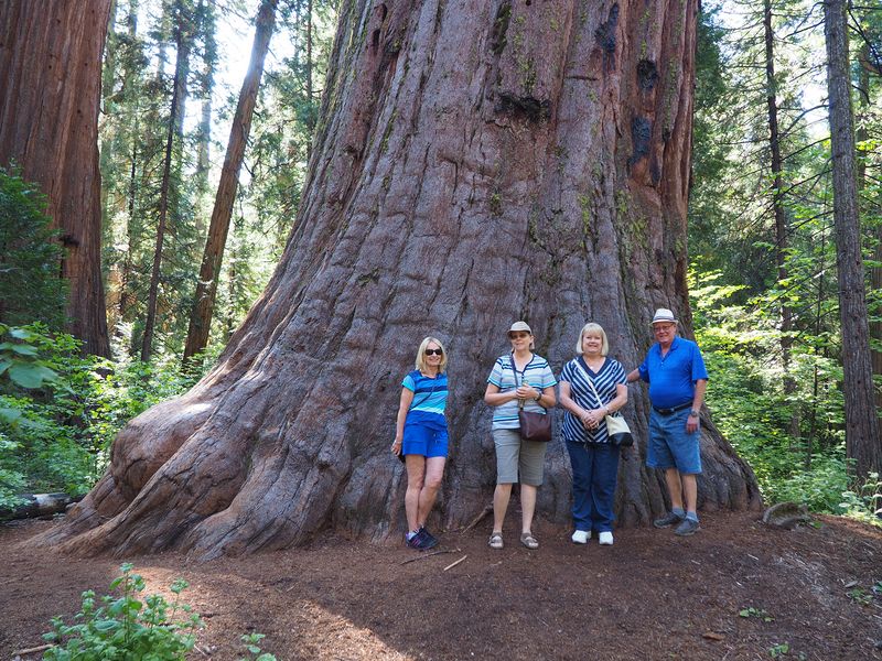 Eloise, June, Linda, and Livingston